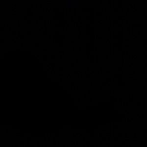 Meet your Posher, Abdul